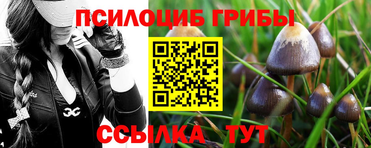 Галлюциногенные грибы ЛСД  Вход с VPN  Галлюциногенные грибы ЛСД  Серпухов 